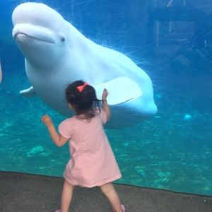 Meet your Posher, Olivia